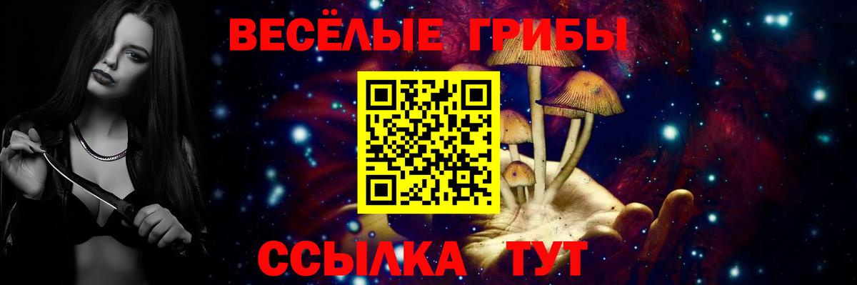 Галлюциногенные грибы прущие грибы  Вход с VPN  Феодосия 